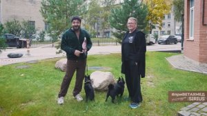 Содержание шипперке // #приВЕТАХМЕД