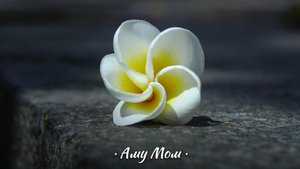 Аму Мом Книга Любви открой секрет силы и спокойствия