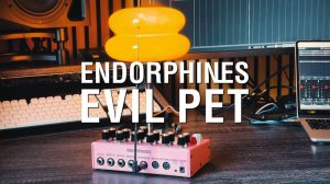 Endorphin.es Evil Pet: Little Synth / Granular / FM
