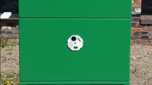 Изготовление улья Дадан 12-ти рамочного. Изготовление гнездового корпуса. Часть 2.