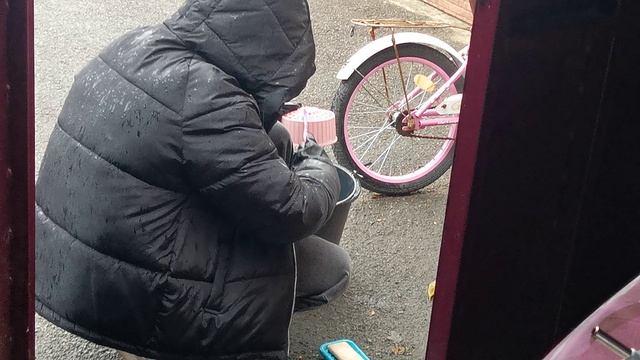 Когда очень любишь своего хомячка