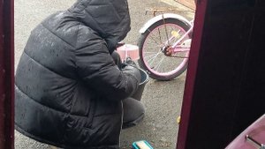 Когда очень любишь своего хомячка