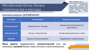 Часть 4. Метаболизм белков