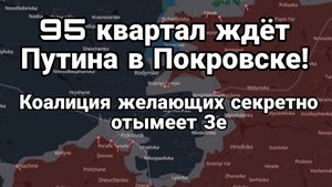 ТАМИР ШЕЙХ / 95 КВАРТАЛ ЖДЁТ ПУТИНА В ПОКРОВСК. СЕКРЕТНАЯ КОАЛИЦИЯ ЖЕЛАЮЩИХ новости сводки