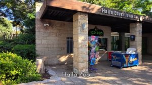 Хайфа Израиль 🌿 Сады бахаи и панорама города — прогулка по святому месту