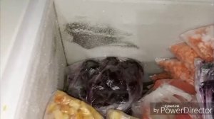 Захотелось холодца / Срезала петрушку.