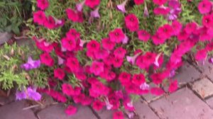 Магазин на трассе.