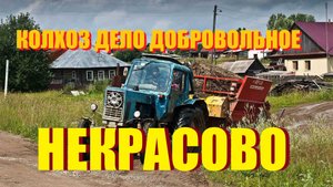 АГРОПАРК НЕКРАСОВО ПОЛЕ-СЕКРЕТНАЯ ЖЕМЧУЖИНА КАЛИНИНГРАДА/ХОТЯ КОЛХОЗ,И ЕСТЬ КОЛХОЗ/БАЛТИЙСК-САЛАКА/