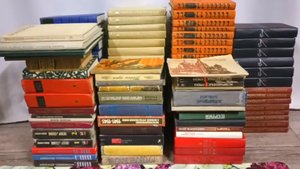 Иркутск. "Книжный приют". Вторая закупка книг.