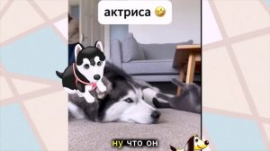 Это вам не Кологривый