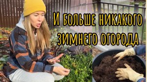 ПОСЛЕДНИЕ ОСЕННИЕ ДЕЛА В САДУ. Вместо зимнего огорода - черенкование