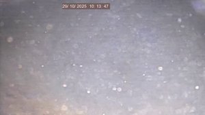 Вор обл Привольный