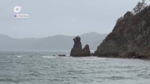 Творческий автобус / 31.10.25