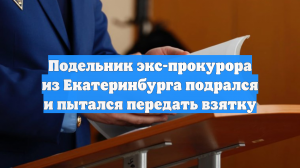 Подельник экс-прокурора из Екатеринбурга подрался и пытался передать взятку