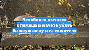 Челябинец пытался с помощью мачете убить бывшую жену и ее сожителя