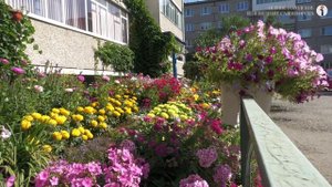 Первые новости от 31.10.25