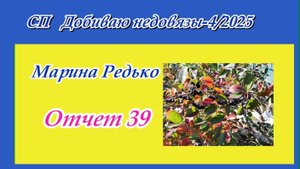 СП "Добиваю недовязы - 4/2025" / Отчет 39