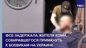 ФСБ задержала жителя Коми, собиравшегося примкнуть к боевикам на Украине
