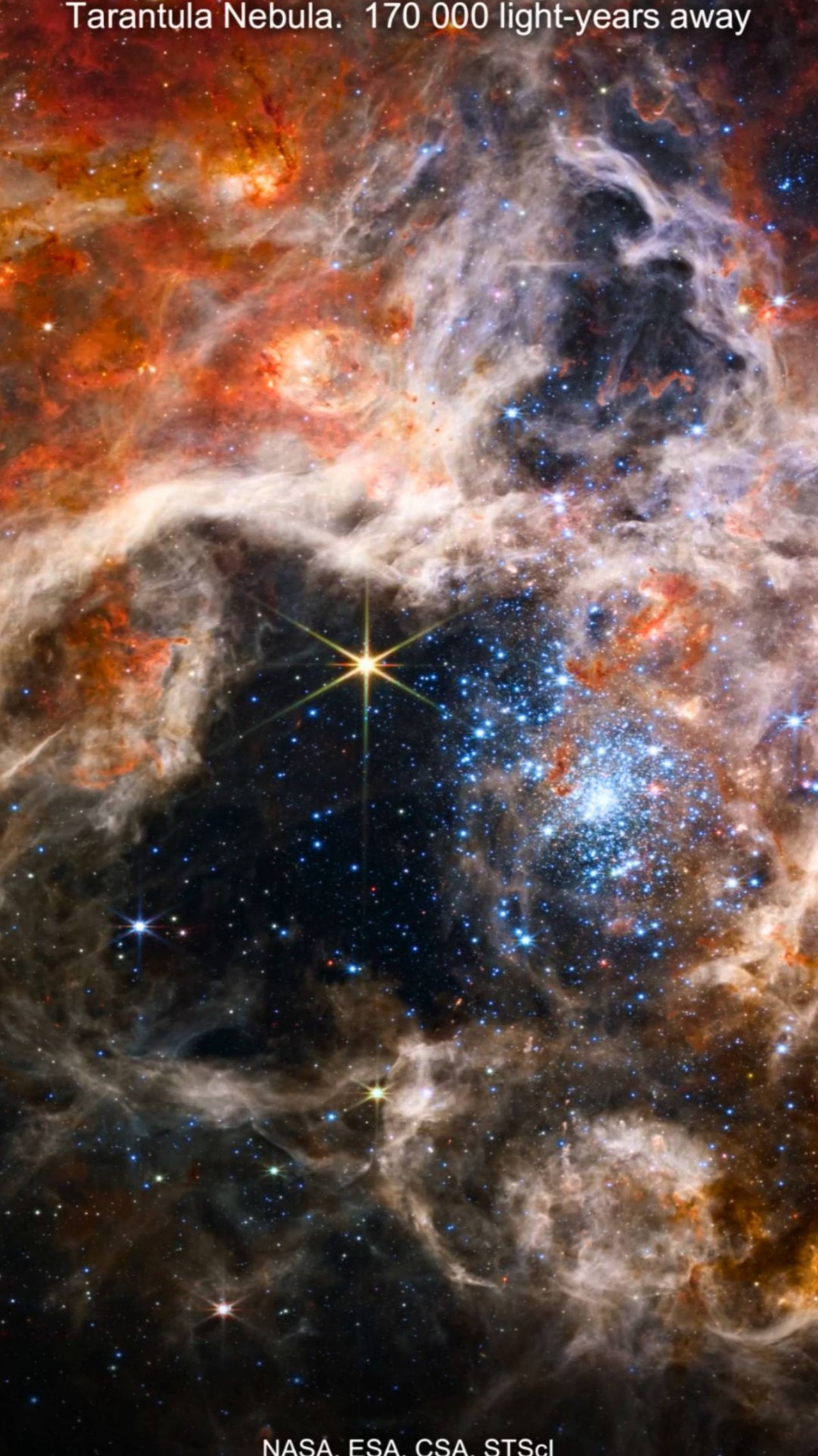 🔥 Туманность Тарантула — кузница звёзд во Вселенной