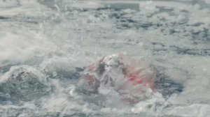 Не сокращай!