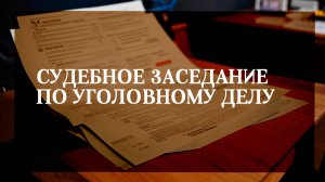 Судебное заседание по уголовному делу