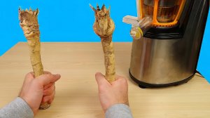 Сок из Хрена и Редьки! Муравьи испугались его! Бедная соковыжималка! alex boyko