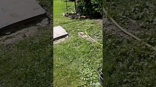 Электротрайк пассажирский Suborbox трансформер.Фильм4 .Серия3  .mp4