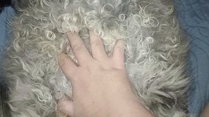 К зиме готовы? Тулупы достали?