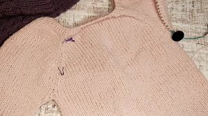 СП Добиваю недовязы-4 Отчет 27