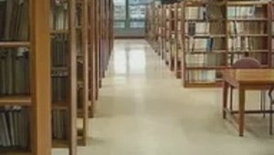 Валентин Гафт. В шкафу угрюмом...