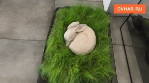 Кружки с пян-се и вазы с лапшой: выставка керамики проходит в Хабаровске