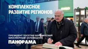 Лукашенко: недалек тот час, когда Европа будет платить Беларуси за воздух. Панорама
