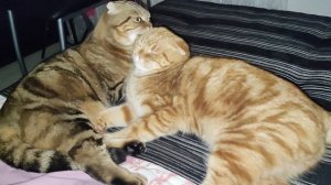 любимка Луняшкина🥰 даже детей своих так не нянькала