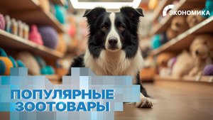 Россияне стали больше тратить денег на питомцев | Вместе выгодно