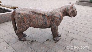 Ягуар в Петрозаводске.