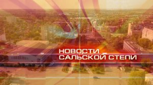 Новости Сальской Степи от 31 октября 2025 года
