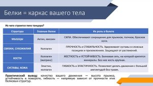 Часть 5. Белки как каркас. Белковый обмен