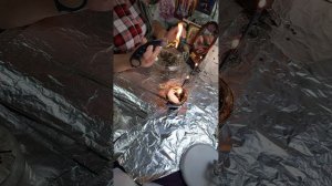 Чистка домашних животных от перетяга с нас болезней, негативной энергии.