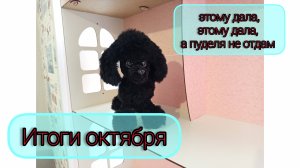 Итоги октября/ Новый марафон/ Продажи из наличия/ Домик для игрушек / Вязаные игрушки крючком