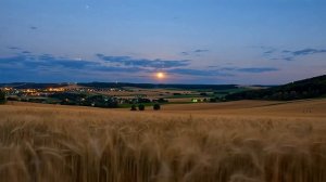 Vaelissed - Open Road (with AI elements)_(Official Music Video)_2K-1440p