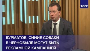 Бурматов: Синие собаки в Чернобыле могут быть рекламной кампанией