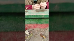 Ловим моменты на улице+стрим