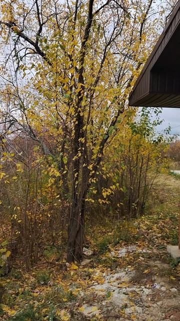 Видео дом снаружи смотреть онлайн