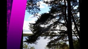 Серебряный Плес 2025