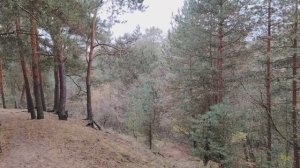 Мошенничество в наши дни. Немного о финансовой грамотности