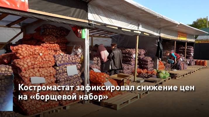 Костромастат зафиксировал снижение цен на «борщевой набор»