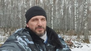 Отход пчел в октябре и итоги 2025 по бакфасту