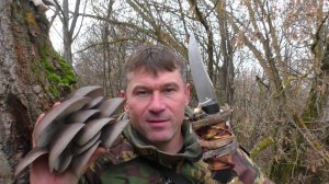 УШЛИ В САД И НАШЛИ ДЕРЕВО С ГРИБАМИ! ГЛАЗАМ НЕ ВЕРИТСЯ...