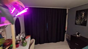 2 комнатная 4 мкр дом 10 а .mp4