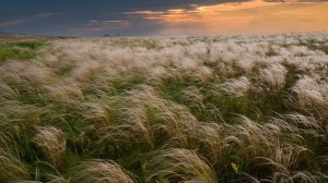 Россия. Тяжёлые годы перемен.